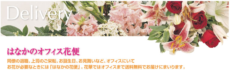 胡蝶蘭 花とプリザーブドフラワーの花華 花束オフィス無料配達サービス